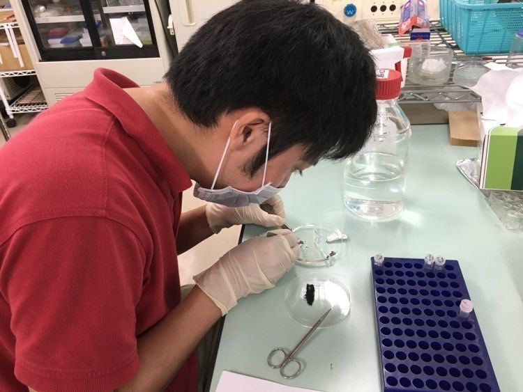 nghiên cứu giúp ta rút được gì